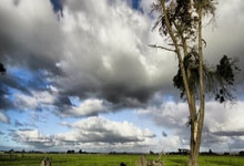 3377体育：吉迪超远绝杀湖人，詹姆斯葬送好局？.