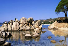 [NBA]浓眉18+7 独行侠险胜公牛.